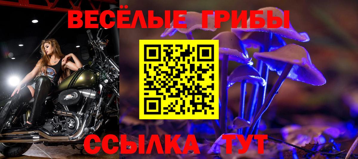 Псилоцибиновые грибы GOLDEN TEACHER Старая Купавна